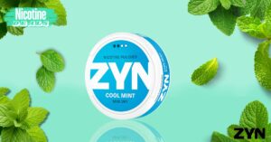 zyn-cool-mint-mini