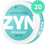 zyn spearmint mini dry