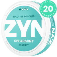 zyn spearmint mini dry