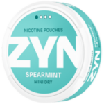 zyn spearmint mini dry