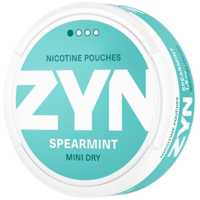 zyn spearmint mini dry