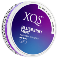 XQS Blueberry Mint Slim Strong Can