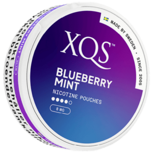 XQS Blueberry Mint Slim Strong Can