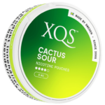 XQS Cactus sour can