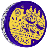 XQS Citrus Cooling Strong nicotine pouches