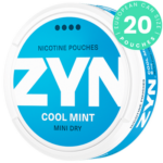 ZYN Cool Mint Mini Dry 6 mg