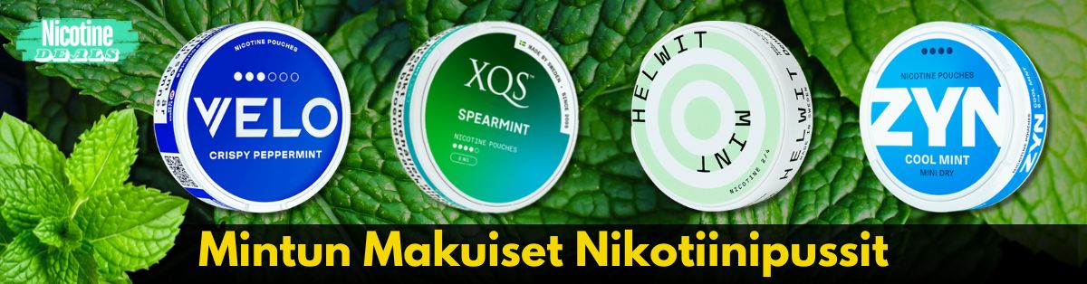 Mintun makuiset nikotiinipussit