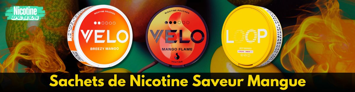 Sachets de Nicotine Saveur Mangue