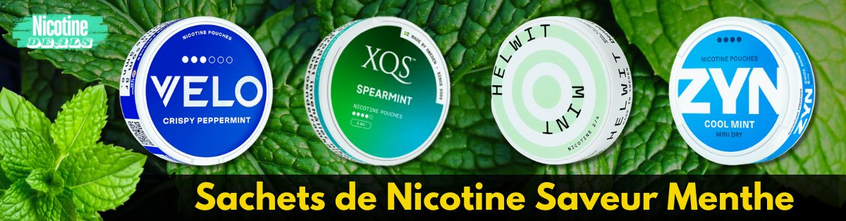 Sachets de Nicotine Saveur Menthe