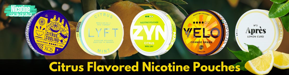 Citrus Nicotine Pouches