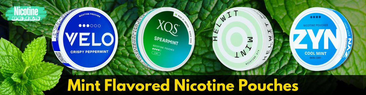 Mint Nicotine Pouches