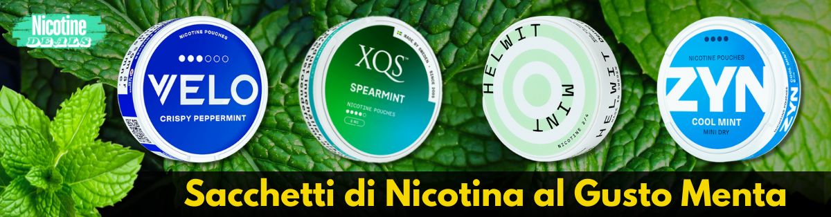 Sacchetti di Nicotina al Gusto di Menta