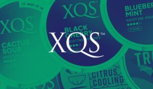 XQS Nicotine Pouches