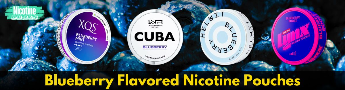 Blueberry Nicotine Pouches