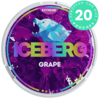 ICEBERG Grape Extreme can