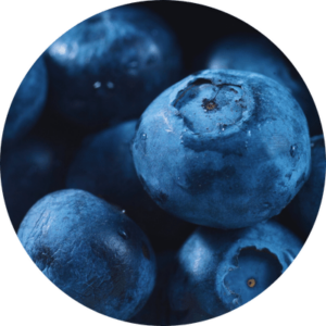 Blueberry