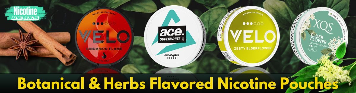 botanical herbs flavored nicotine pouches